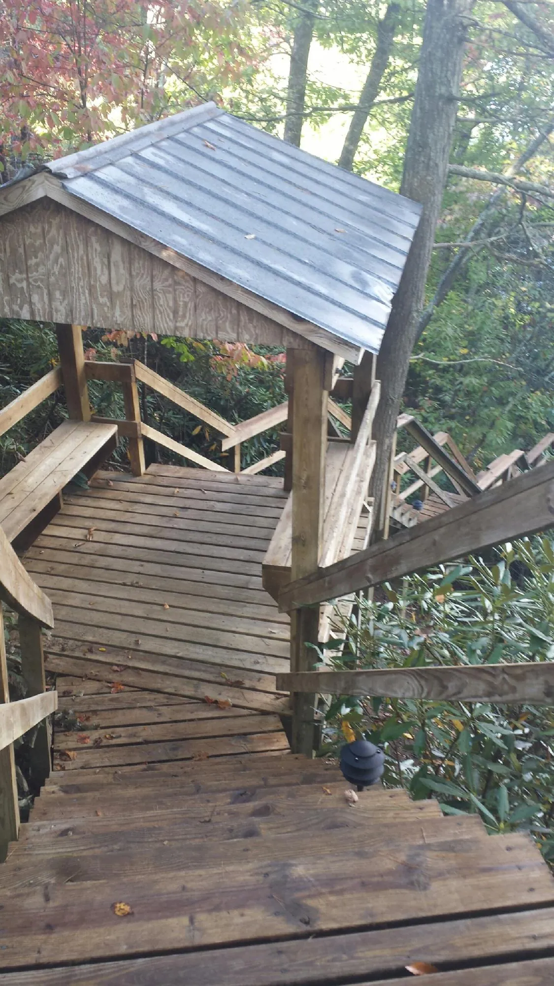 Metal roofed shelter over wooden steps on a wooded walkway — Skylight Repair & Installation work by our crew in Walthourville