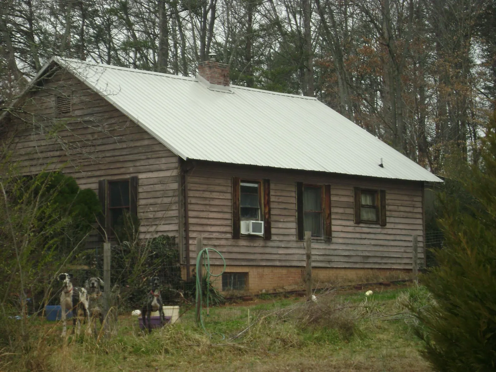 White metal roof on an old wood sided farmhouse, from a Asphalt Shingle Roof Repair job in Walthourville